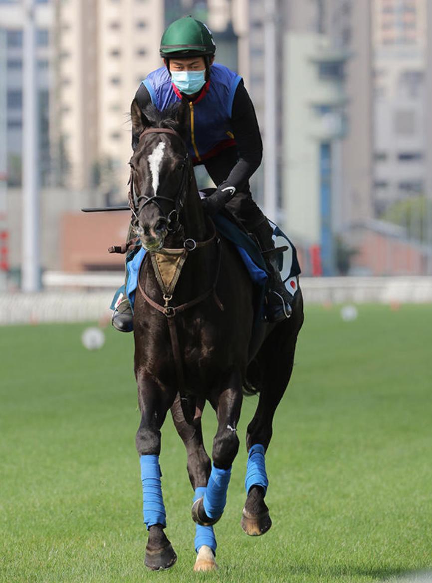 グローリーヴェイズ 写真：ZUMA Press_アフロ.jpg