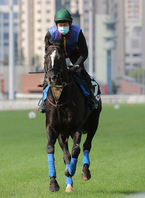 aflo_158821953.jpg