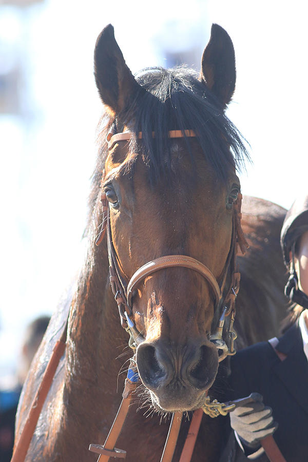 aflo_123155105.jpg
