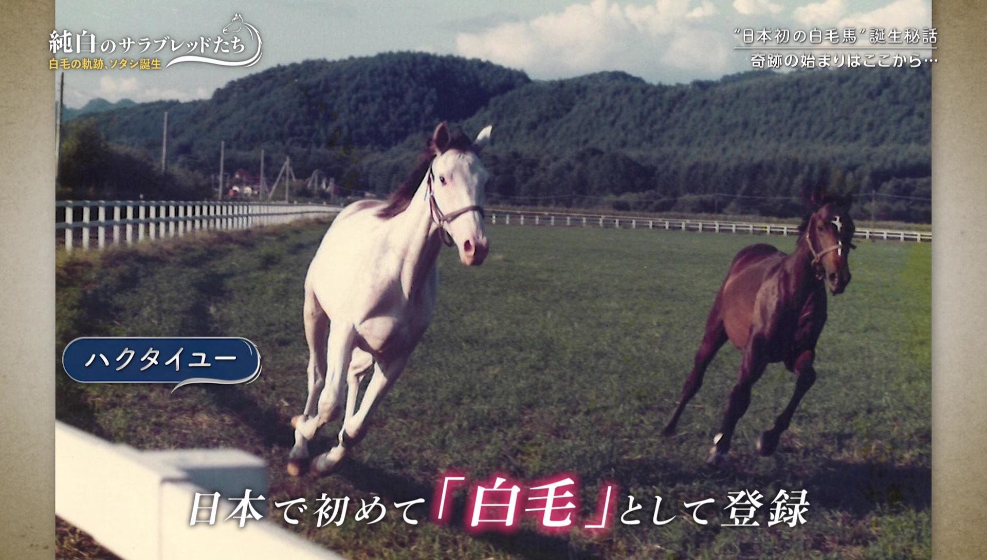 vlcsnap-2021-10-15-19h39m46s653.jpg