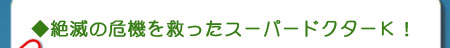 絶滅の危機を救ったスーパードクターＫ！