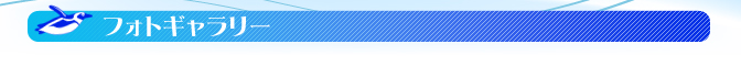 フォトギャラリー
