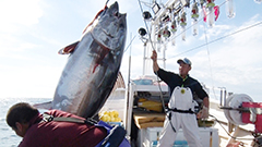 日曜ビッグバラエティ
                「洋上の激闘！巨大マグロ戦争２０２４」