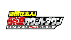 日曜ビッグバラエティ
                「必撮仕事人！緊迫カウントダウン　時間と戦うお仕事ぜんぶお見せします！