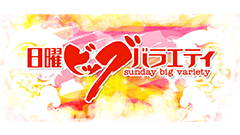 日曜ビッグバラエティ
                「住民を守れ！危険生物バスターズ【特別編】殺人バチから獰猛生物まで撃退ＳＰ」