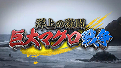 日曜ビッグバラエティ
                「巨大マグロ戦争2025【今朝まで取材！デタ!?初競り一番マグロ争奪戦】」
