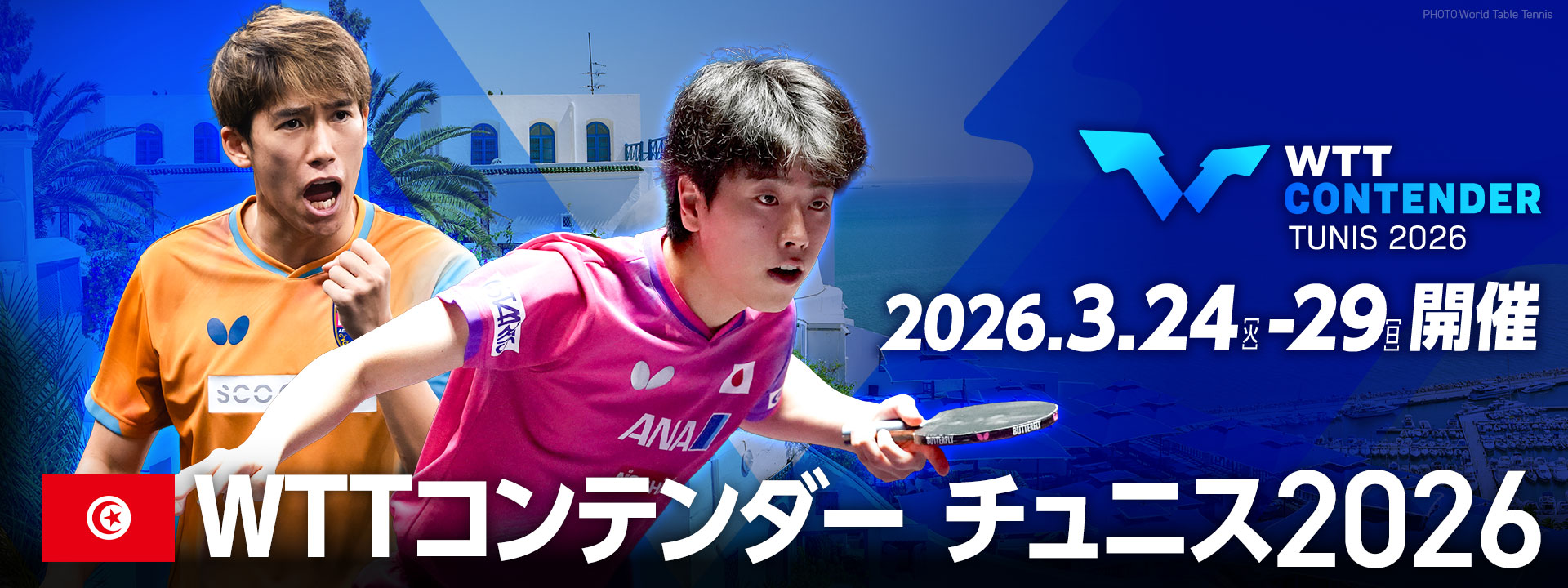 WTTコンテンダー チュニス2026｜テレ東卓球NEWS メインビジュアル
