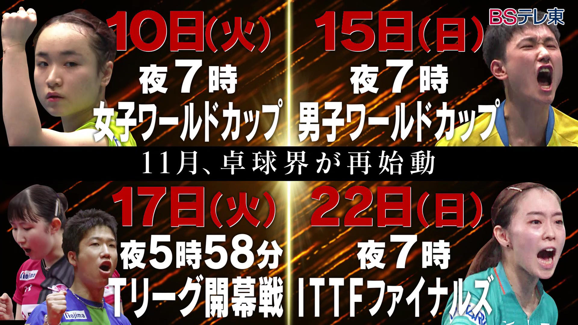 女子ワールドカップ テレビ東京卓球news テレビ東京