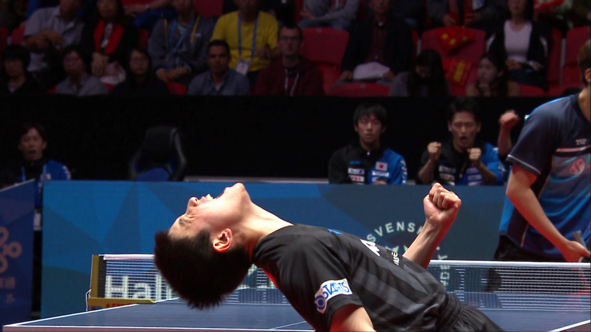 メダルを獲るための反省ができた 世界卓球18男子団体をプレイバック テレビ東京卓球news テレビ東京