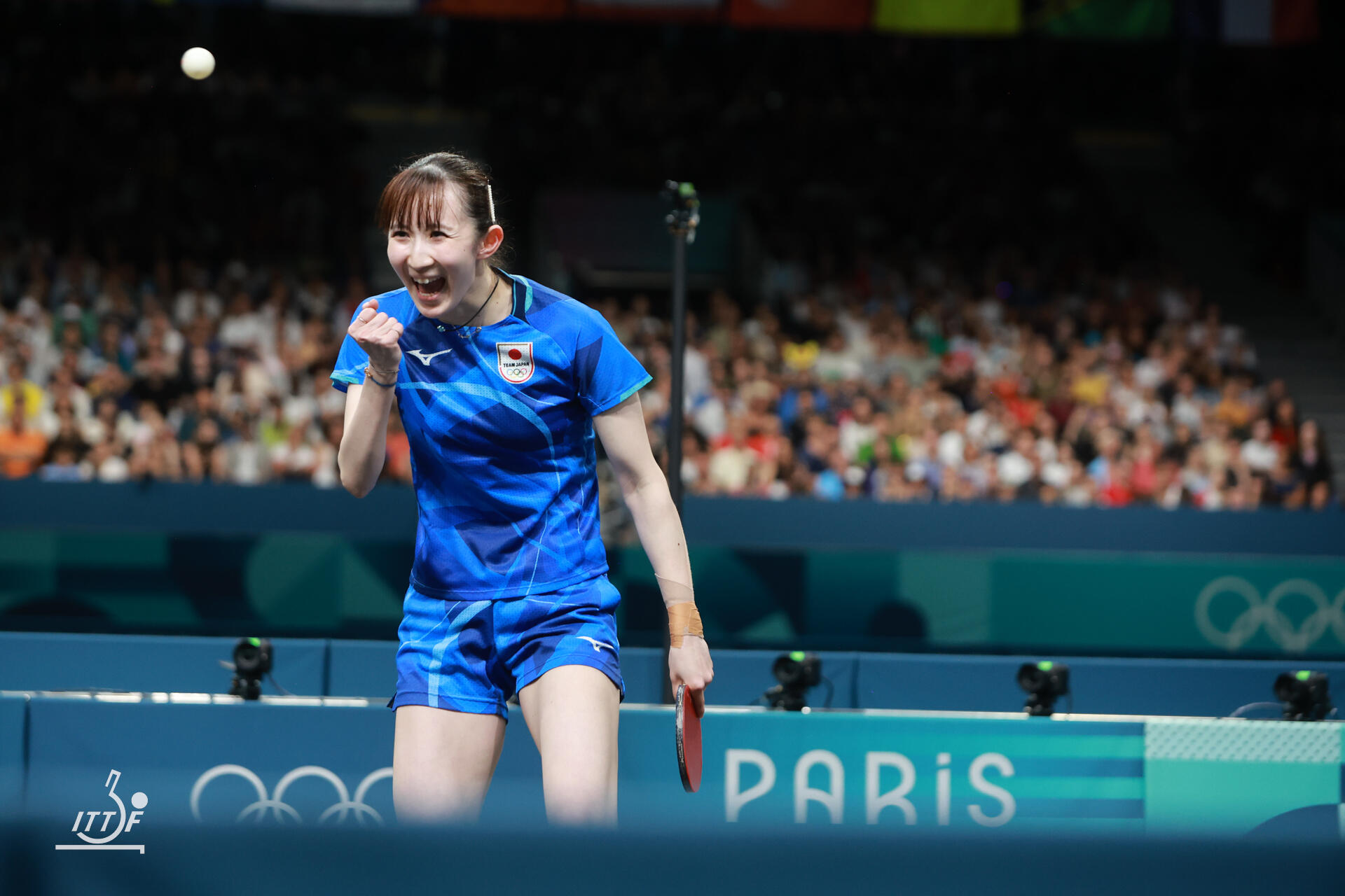 53911496610_5ba5db0007_o.jpg