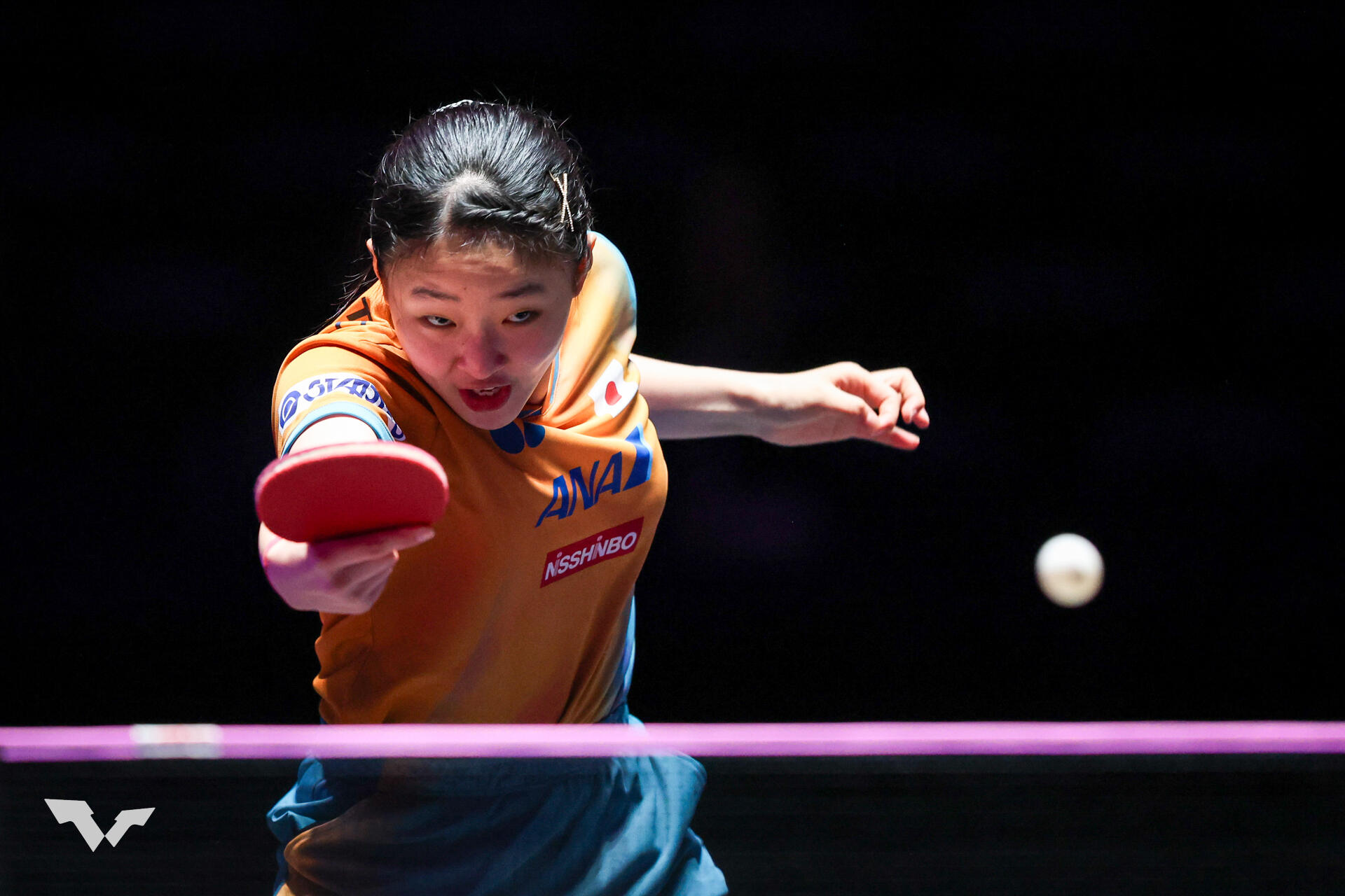 54427863649_1c625dce74_o (2).jpg