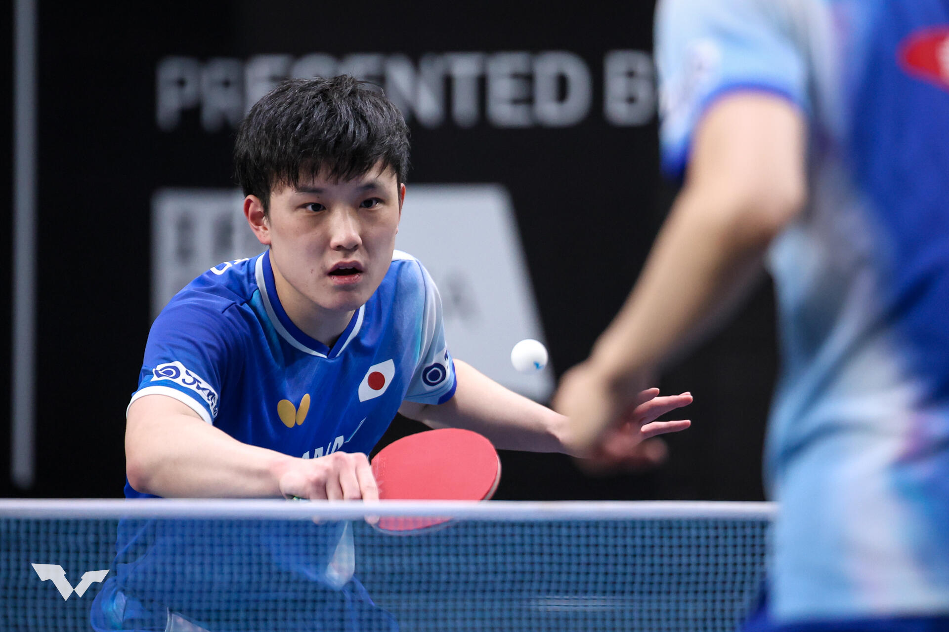 Tomokazu HARIMOTO_WTT Star Contender Ljubljana 2025_Day 3-4.jpg