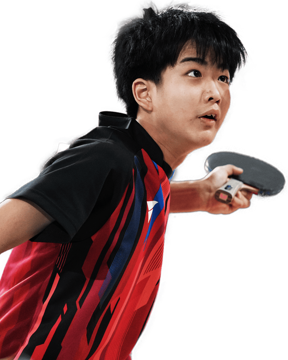 坂井 雄飛