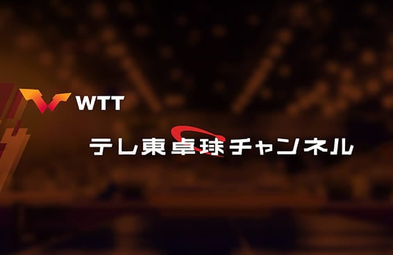 映像ダイジェスト