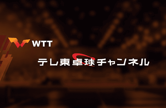 映像ダイジェスト