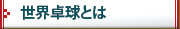 ���E�싅�Ƃ�