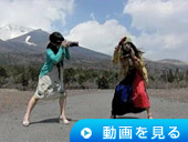 動画を見る
