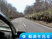 動画を見る