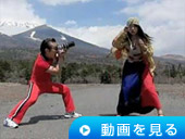 動画を見る