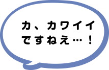 カ、カワイイですねぇ…！