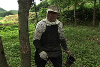#73 漆掻き職人　岩舘正二