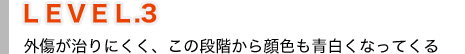 ＬＥＶＥＬ.３ 外傷が治りにくく、この段階から顔色も青白くなってくる