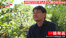 ナマコの研究／一橋和義（東京大学医学部附属病院 助教）