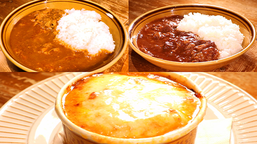 ハッシュドビーフ＆チキンカレー 計9食セット 