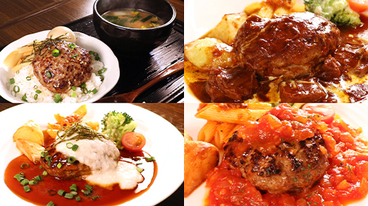 ハンバーグ研究所厳選4種セット 