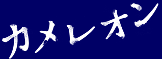 �J�����I��