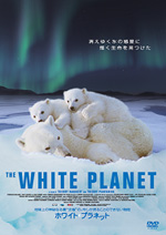 �z���C�g�E�v���l�b�g