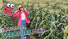 トウモロコシ街道の夏　あきる野市