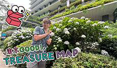 都心だからこそ！オフィス街のグリーン　京橋