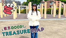 国の重要な史跡が残る 府中