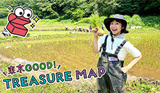 里山へGO！東京の自然にふれる　あきるの市