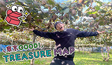 地元限定！三鷹の土が育てた特産キウイ