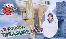 世界でも珍しい奇跡の石　新島