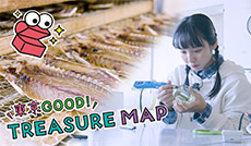 オリーブグリーンの輝きを纏うガラス　新島