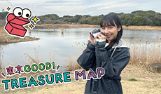 四季と野鳥が彩る都会のオアシス葛西臨海公園