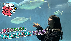 生き物本来の姿を伝える展示・　葛西臨海水族園