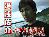 Tvチャンピオン
