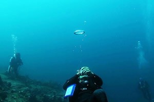 超！衝撃映像 日本人が超えてみた！？