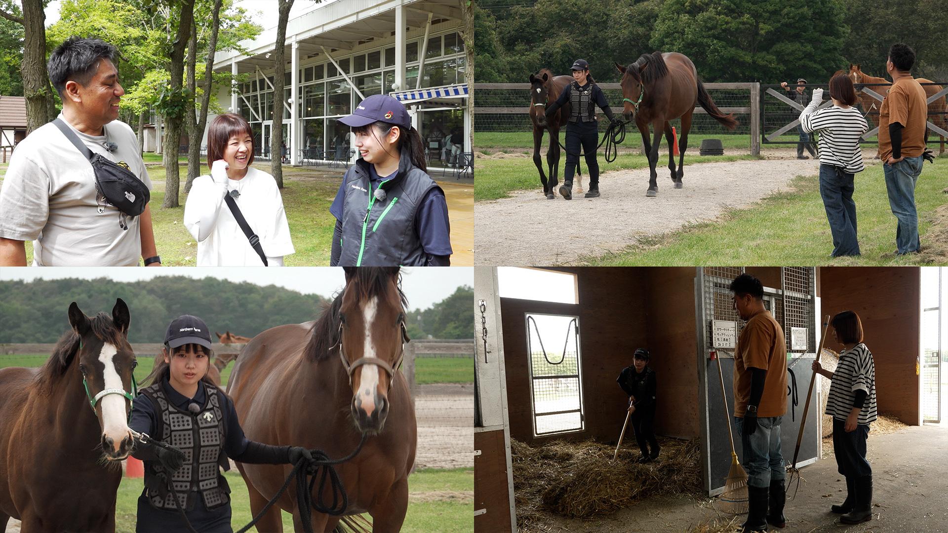競馬
