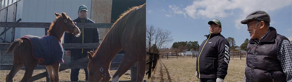 ダービー・オークス