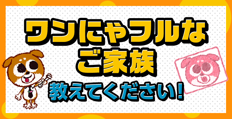 世界を救う！ワンにゃフル物語 ～柴と三毛と亀梨くん～