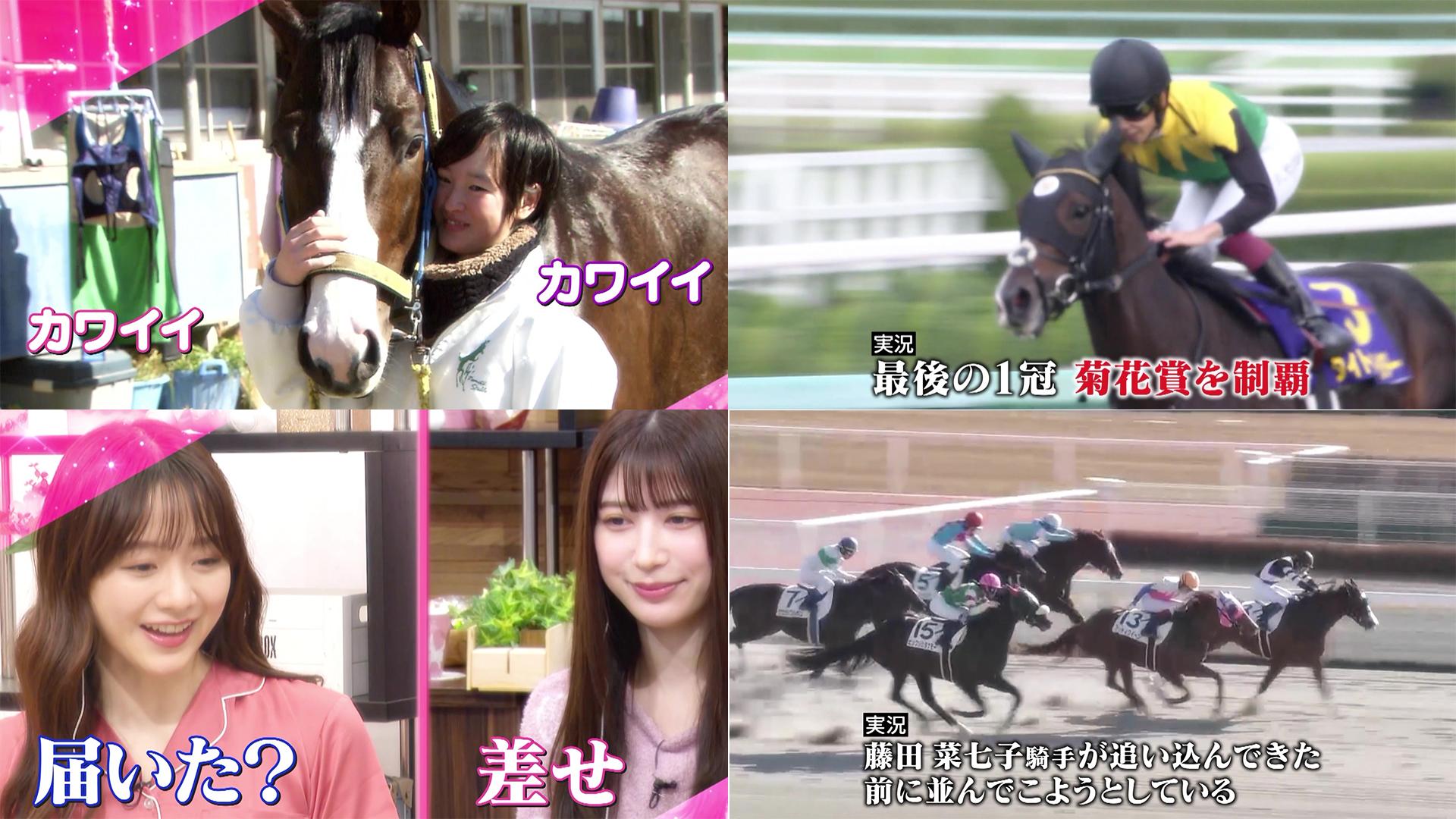 競馬女子会
