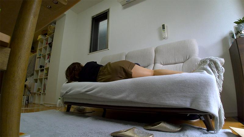 電気ネズミとチーズ泥棒