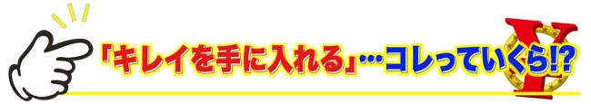 コレっていくら? ~なかなか聞けないアノ値段聞いてみた~