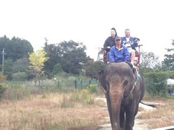 ポンコツおじさん旅に出る4