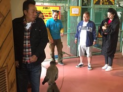ポンコツおじさん旅に出る4